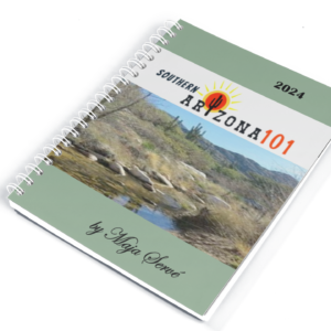 Southern Arizona 101 eBook